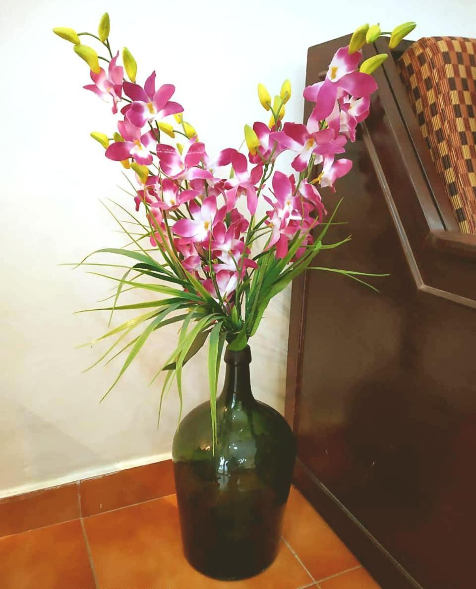 Diana Apartments Candolim Εξωτερικό φωτογραφία